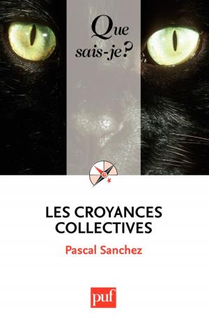 Cover of the book Les croyances collectives by Claude B. Levenson