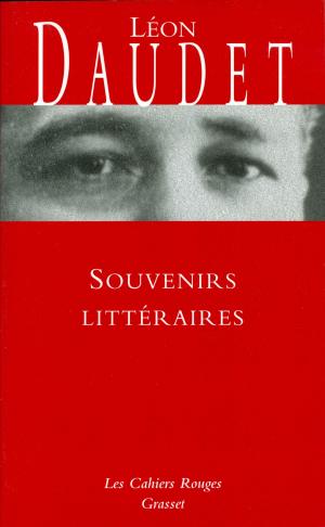 Cover of the book Souvenirs littéraires by Dominique Bona