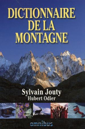 Cover of the book Dictionnaire de la montagne by Georges SIMENON
