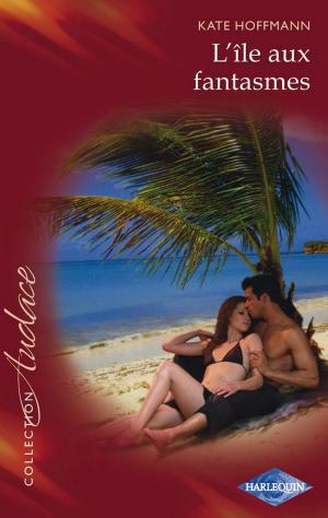 Cover of the book L'île aux fantasmes by Lynette Eason