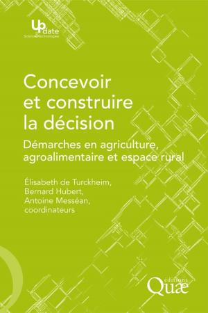 Cover of the book Concevoir et construire la décision by Robert Barbault, Martine Atramentowicz