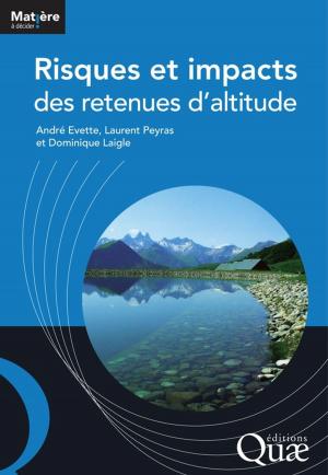 Cover of the book Risques et impacts des retenues d'altitude by Jacques Lavabre, Claude Martin