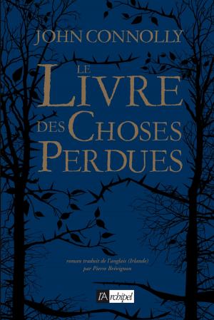 Book cover of Le livre des choses perdues