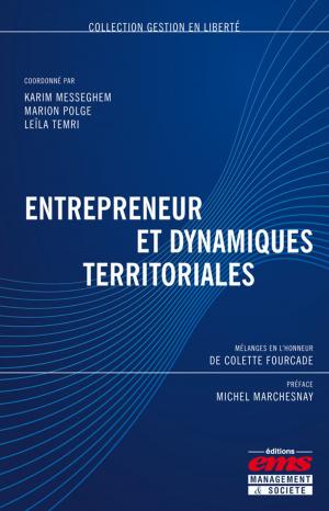 Cover of the book Entrepreneur et dynamiques territoriales by Maurice Thévenet, Jacques Igalens, Jacques Orsoni, Soufyane Frimousse
