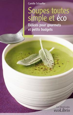Cover of the book Recettes soupes toutes simples et éco by Jean-Pierre Vasseur