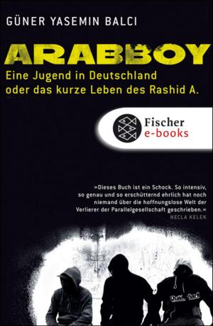 Cover of the book Arabboy by Rainer Erlinger