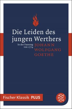 Cover of the book Die Leiden des jungen Werthers by Christoph Ransmayr