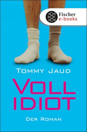 Book cover of Vollidiot