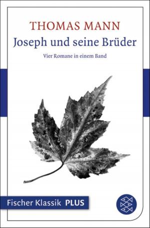 Cover of the book Joseph und seine Brüder by Judith Hermann