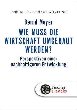 Cover of the book Wie muss die Wirtschaft umgebaut werden? by Immanuel Kant