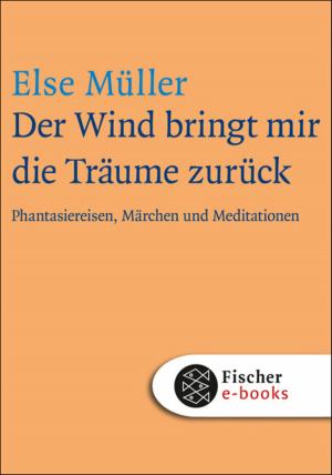 Cover of the book Der Wind bringt mir die Träume zurück by Eric-Emmanuel Schmitt