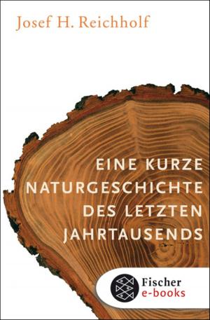 Cover of the book Eine kurze Naturgeschichte des letzten Jahrtausends by Dr. Dr. Rainer Erlinger