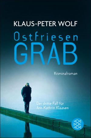 Cover of the book Ostfriesengrab by Christoph Ransmayr