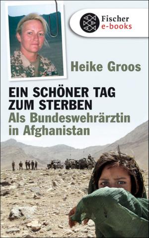 Cover of the book Ein schöner Tag zum Sterben by Salman Ansari