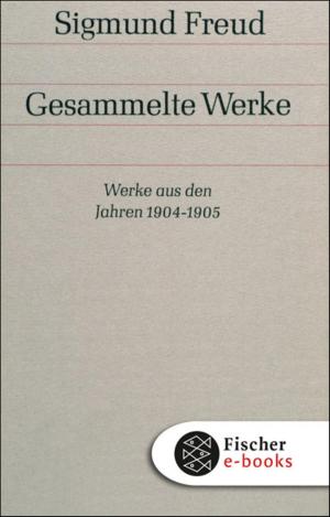 Cover of the book Werke aus den Jahren 1904-1905 by Dr. Josephine Chaos
