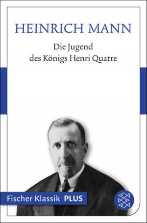 Cover of the book Die Jugend des Königs Henri Quatre by Joseph von Eichendorff