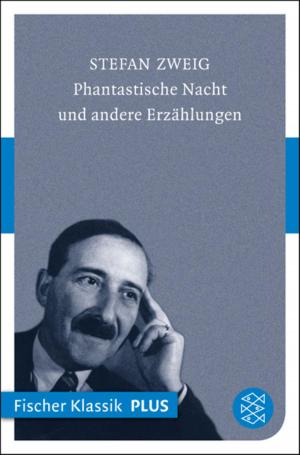 Cover of the book Phantastische Nacht by Ulrich Peltzer