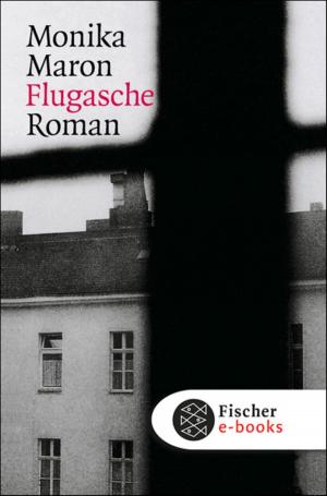 Cover of the book Flugasche by Kerstin Gier