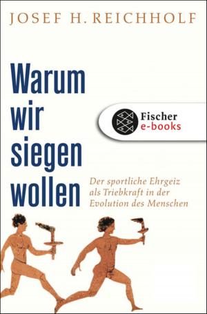 Cover of the book Warum wir siegen wollen by Katrin Bauerfeind