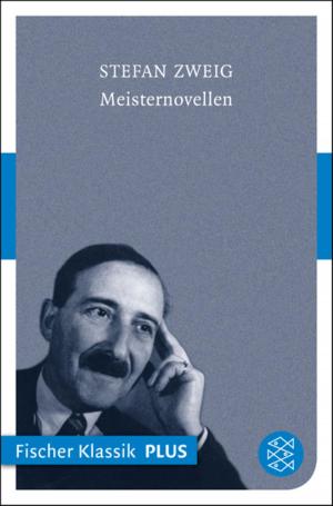 Cover of the book Meisternovellen by Stefan Zweig