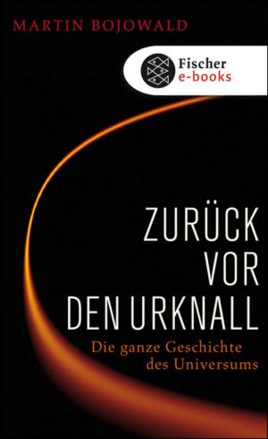 Book cover of Zurück vor den Urknall