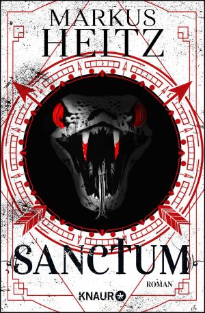Cover of the book Sanctum by Sandra Lessmann