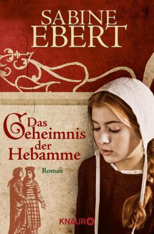 Cover of the book Das Geheimnis der Hebamme by Constanze Köpp