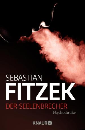 Cover of the book Der Seelenbrecher by William Todd Rose