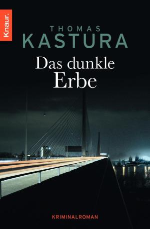 Book cover of Das dunkle Erbe