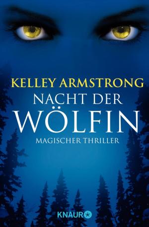 Cover of the book Die Nacht der Wölfin by Scott McBain