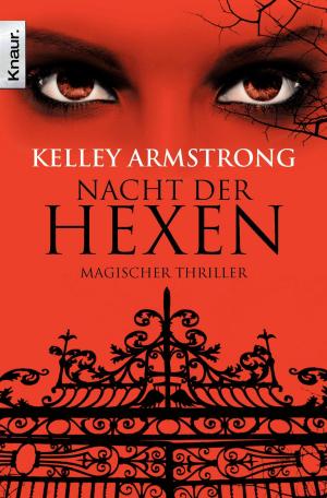 Cover of the book Nacht der Hexen by Markus Heitz
