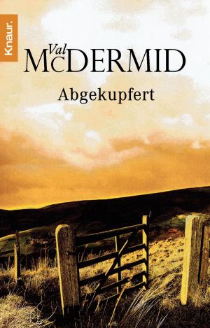 Cover of the book Abgekupfert by Peter Wilhelm