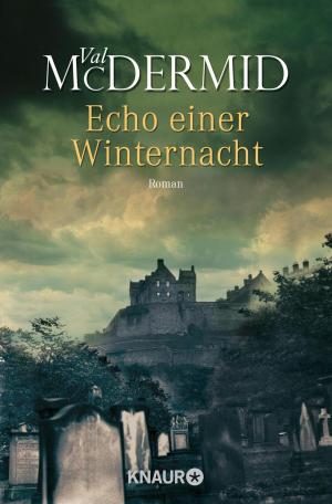 Cover of the book Echo einer Winternacht by Simon Lelic