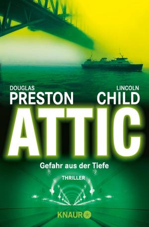 Cover of the book Attic by Jørn Lier Horst