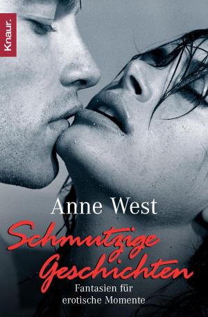 Cover of the book Schmutzige Geschichten by John Katzenbach