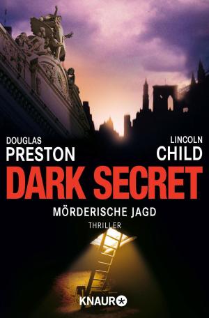 Cover of the book Dark Secret by UD Sandberg