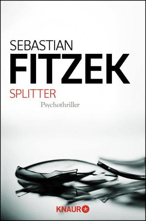 Book cover of Splitter
