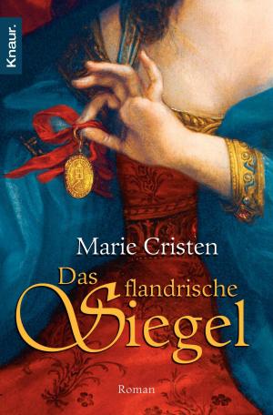 Cover of the book Das flandrische Siegel by Yvonne Jarré