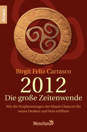 Cover of the book 2012 - Die große Zeitenwende by Holger Schlageter, Patrick Hinz