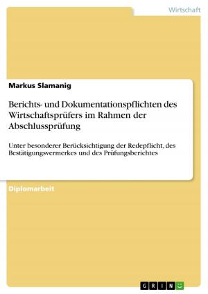 Cover of the book Berichts- und Dokumentationspflichten des Wirtschaftsprüfers im Rahmen der Abschlussprüfung by Sarah Werner