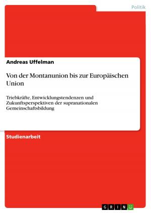 Cover of the book Von der Montanunion bis zur Europäischen Union by Lena Gorelik