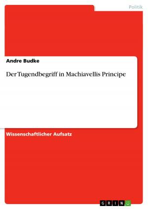Cover of the book Der Tugendbegriff in Machiavellis Principe by Katja Bibic