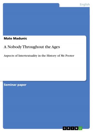 Cover of the book A Nobody Throughout the Ages by Martin Popov