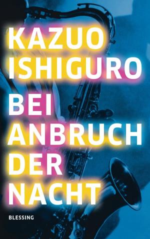 Cover of Bei Anbruch der Nacht