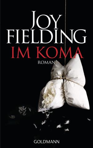 Cover of the book Im Koma by S. Quinn
