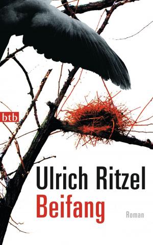 Cover of the book Beifang by Yrsa Sigurdardóttir