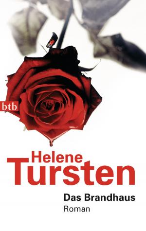 Cover of the book Das Brandhaus by Håkan Nesser