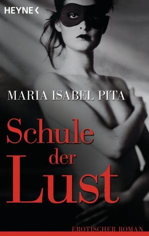 Cover of the book Schule der Lust by Jost Kaiser