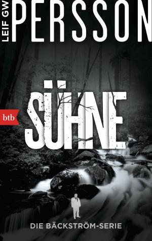 Cover of the book Sühne by Håkan Nesser