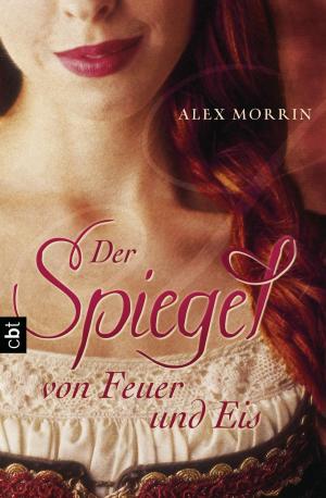 Cover of the book Der Spiegel von Feuer und Eis by Maureen Johnson